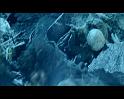 PDVD_2320