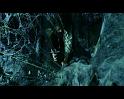 PDVD_2327