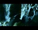 PDVD_2328