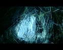 PDVD_2345
