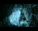 PDVD_2346