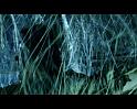 PDVD_2349