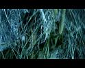 PDVD_2350