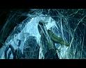PDVD_2356