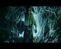 PDVD_2362