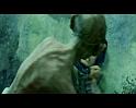 PDVD_2371