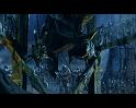 PDVD_2479