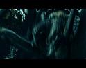 PDVD_2620