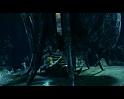 PDVD_2632