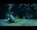 PDVD_2635