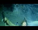 PDVD_2637