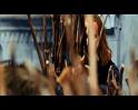 PDVD_2705