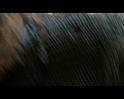 PDVD_2759