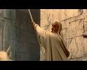 PDVD_2772