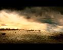 PDVD_2778