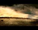 PDVD_2781