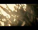 PDVD_2812