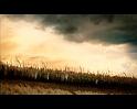PDVD_2836