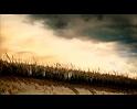 PDVD_2837