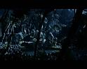 PDVD_284