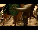 PDVD_2884