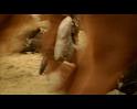 PDVD_2903