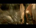 PDVD_2978