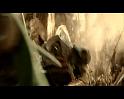 PDVD_2986