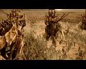 PDVD_3044
