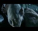 PDVD_308