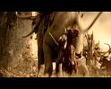 PDVD_3099