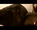 PDVD_3118
