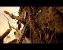 PDVD_3120