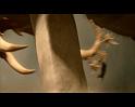 PDVD_3159
