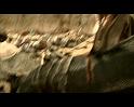 PDVD_3194