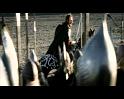 PDVD_3826