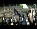PDVD_3828