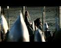 PDVD_3847