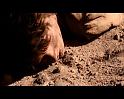 PDVD_3886