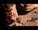 PDVD_3887