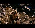 PDVD_4018