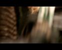 PDVD_4034