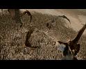 PDVD_4042