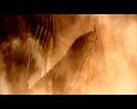 PDVD_4068