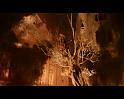PDVD_407