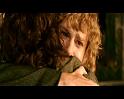 PDVD_4738