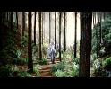 PDVD_497