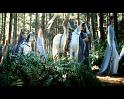 PDVD_504