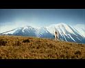 PDVD_607