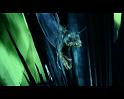 PDVD_853